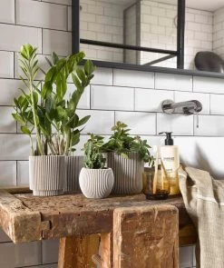 Capi Europe - Set Van 4 - Bloempot Binnen - Groove - - Ivoor - Bloempot Voor Binnen - BOX-BGVI-4 -Tuinverzorgings Winkel 1005x1200