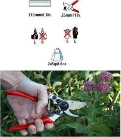 Felco 2 + GRATIS Felco Handschoenen In Cadeauverpakking -Tuinverzorgings Winkel 1056x1200 3