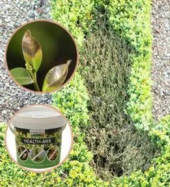 Topbuxus Buxus Health Mix -Tuinverzorgings Winkel 1089x1200 2