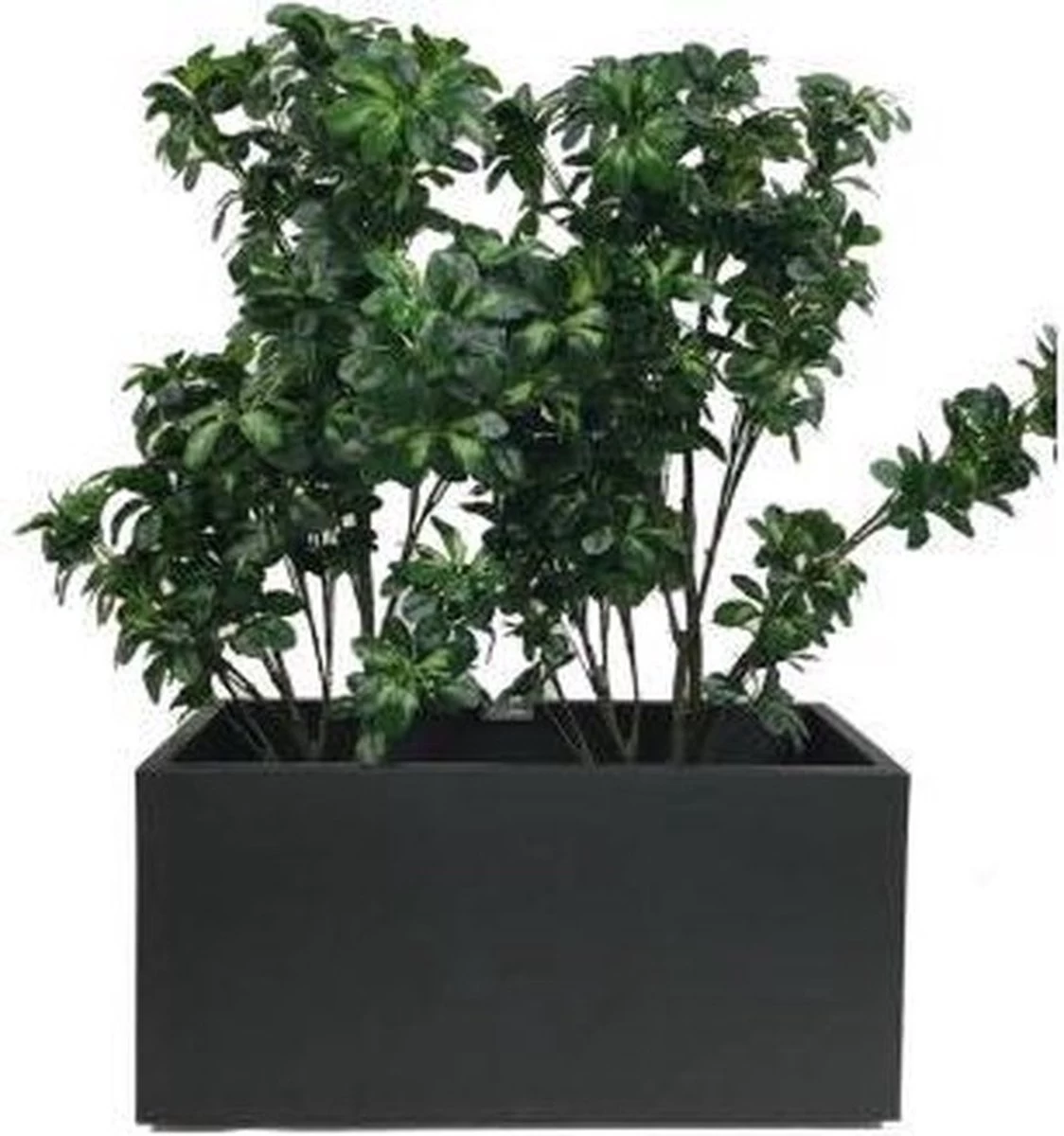 Elho Vivo Matt Finish Lang Wielen 90 - Grote Staande Plantenbak Voor Binnen & Buiten - Gemaakt Van Gereycled Plastic - L 39 X W 88 X H 41 Cm - Zwart 6 Elho Vivo Matt Finish Lang Wielen 90 - Grote Staande Plantenbak Voor Binnen & Buiten - Gemaakt Van Gereycled Plastic - L 39 X W 88 X H 41 Cm - Zwart - Afbeelding 4