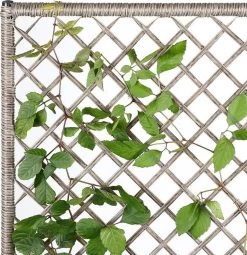 Casaria Polyrattan Bloembak – 3 Bakken Klimophek - Crème 16 Casaria Polyrattan Bloembak – 3 Bakken Klimophek - Crème -Tuinverzorgings Winkel 1163x1200 6