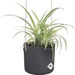 Elho B.for Swing 18 Hangpot - Bloempot Voor Binnen - Ø 18.0 X H 16.5 Cm - Zwart/Antraciet 23 Elho B.for Swing 18 Hangpot - Bloempot Voor Binnen - Ø 18.0 X H 16.5 Cm - Zwart/Antraciet -Tuinverzorgings Winkel 1191x1200 12