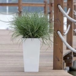 Prosperplast Kunststof Urbi Bloempot/plantenpot Met Binnenpot Wit 32 X 32 X 61 Cm - 21/49 Liter - Hoge Vierkante Bloempotten -Tuinverzorgings Winkel 1194x1200 6