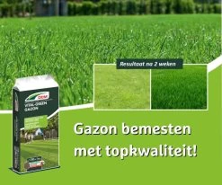 DCM Vital-Green Gazon - Gazonmest - Gazonmeststof Met MINIGRAN® Technology - 75m2 - 3 Kg 7 DCM Vital-Green Gazon - Gazonmest - Gazonmeststof Met MINIGRAN® Technology - 75m2 - 3 Kg -Tuinverzorgings Winkel 1200x1000 2