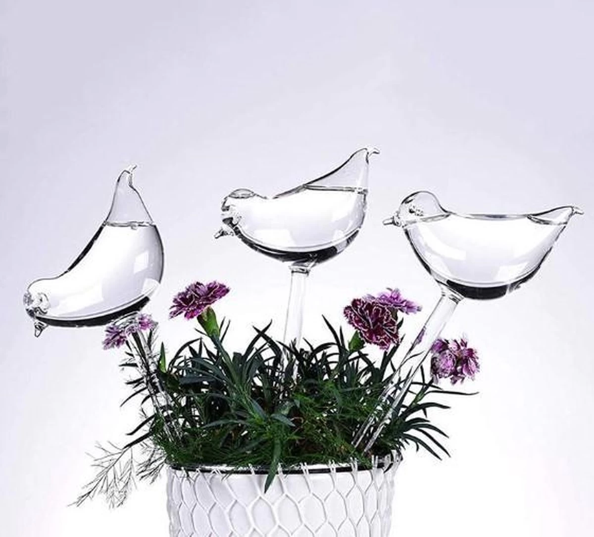 Waterdruppelaar Planten - Vorm Vogel - Set Van 3 Kunststof Druppelaars - 25cm Lengte - Genoeg Water Tijdens Je Vakantie 4 Waterdruppelaar Planten - Vorm Vogel - Set Van 3 Kunststof Druppelaars - 25cm Lengte - Genoeg Water Tijdens Je Vakantie - Afbeelding 2