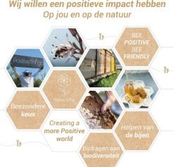 Ophangsysteem - Plafondhaak RVS - Ophanghaak TRX - Hangstoel Buiten - Hangstoel Binnen – Schommelstoel - Schommel - Bokszakken - RVS - 300kg -Tuinverzorgings Winkel 1200x1150