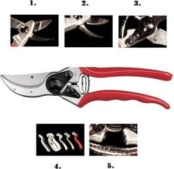 Felco 2 Snoeischaar - Rechtshandig - Max. Knipdiameter 25 Mm - Lengte 215 Mm 20 Felco 2 Snoeischaar - Rechtshandig - Max. Knipdiameter 25 Mm - Lengte 215 Mm -Tuinverzorgings Winkel 1200x1168 1