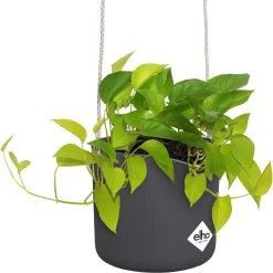 Elho B.for Swing 18 Hangpot - Bloempot Voor Binnen - Ø 18.0 X H 16.5 Cm - Zwart/Antraciet 15 Elho B.for Swing 18 Hangpot - Bloempot Voor Binnen - Ø 18.0 X H 16.5 Cm - Zwart/Antraciet -Tuinverzorgings Winkel 1200x1198 29
