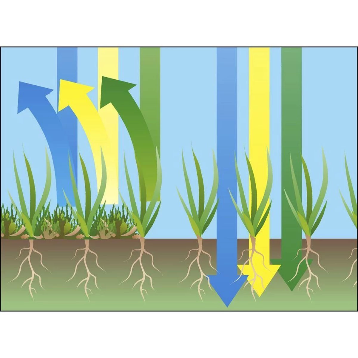 GARDENA EVC 1000 Verticuteermachine - Werkbreedte 30 Cm - Werkgebied 600m2 14 GARDENA EVC 1000 Verticuteermachine - Werkbreedte 30 Cm - Werkgebied 600m2 - Afbeelding 12