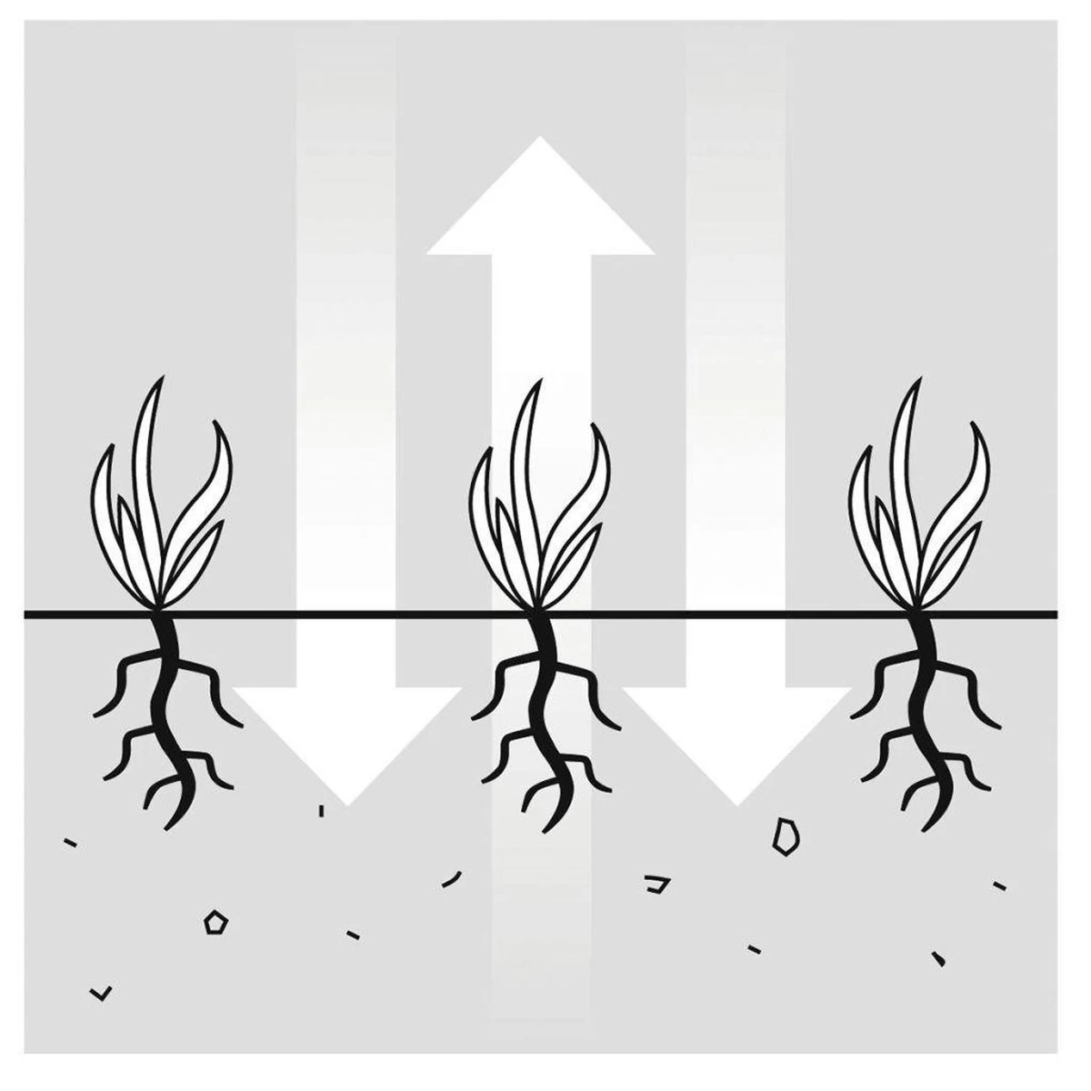 GARDENA EVC 1000 Verticuteermachine - Werkbreedte 30 Cm - Werkgebied 600m2 15 GARDENA EVC 1000 Verticuteermachine - Werkbreedte 30 Cm - Werkgebied 600m2 - Afbeelding 13