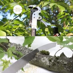 Iceberk Snoeischaar + Snoeizaag (1,45 - 3,70 M) - Telescopische Snoeischaar Voor Het Snoeien Van Bomen En Dichte Struiken Zonder Ladder -Tuinverzorgings Winkel 1200x1200 1302