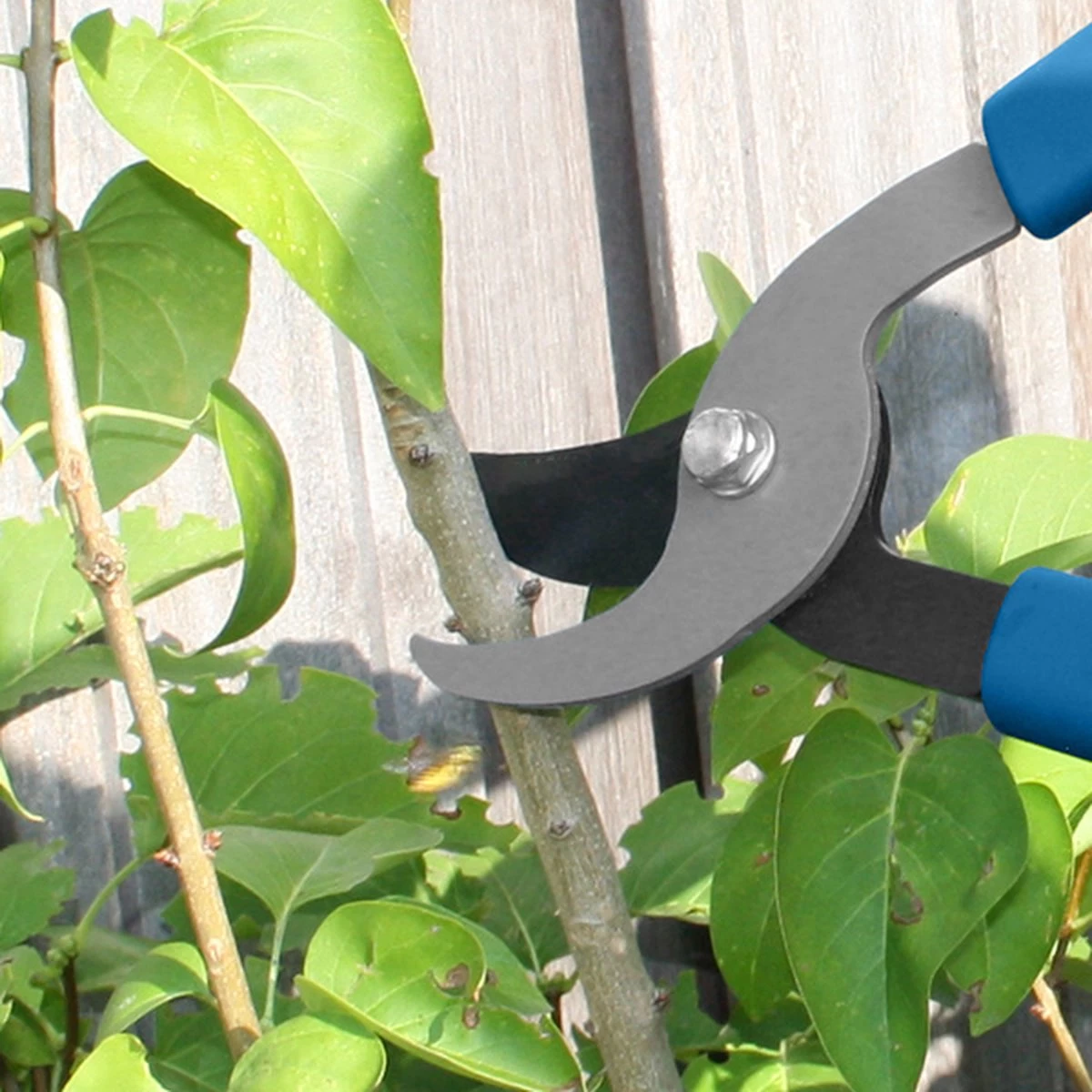 Hyundai Snoeiset 3-delig - Snoeischaar - Takkenschaar - Heggenschaar 4 Hyundai Snoeiset 3-delig - Snoeischaar - Takkenschaar - Heggenschaar - Afbeelding 2