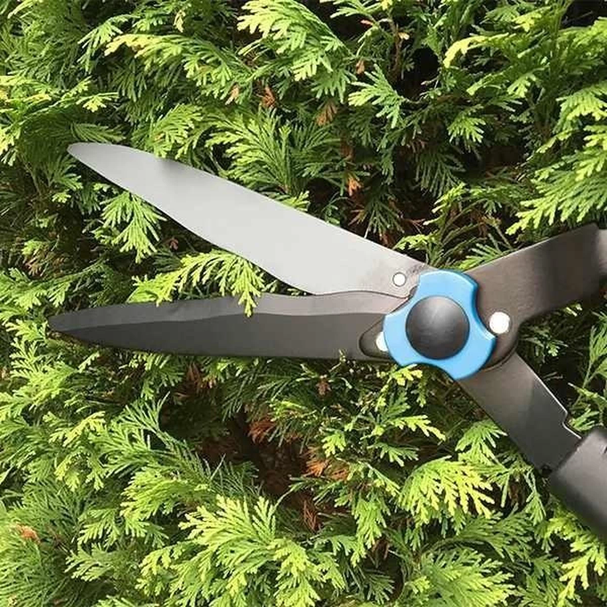 Hyundai Snoeiset 3-delig - Snoeischaar - Takkenschaar - Heggenschaar 12 Hyundai Snoeiset 3-delig - Snoeischaar - Takkenschaar - Heggenschaar - Afbeelding 10