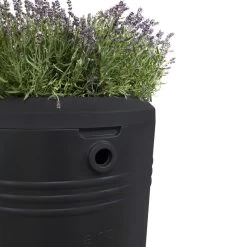 Elho Green Basics Regenton - Regenton - Living Black - Buiten - 200 Liter -Tuinverzorgings Winkel 1200x1200 1373