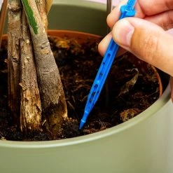 Woonaccessoires- Automatisch Watergeef Systeem | Plantenwaterer - Life Support Irrigatieapparaat | Druppelaar Kamerplanten - | Planten Watergever Met Druppelsysteem 350ml 16 Woonaccessoires- Automatisch Watergeef Systeem | Plantenwaterer - Life Support Irrigatieapparaat | Druppelaar Kamerplanten - | Planten Watergever Met Druppelsysteem 350ml -Tuinverzorgings Winkel 1200x1200 1460