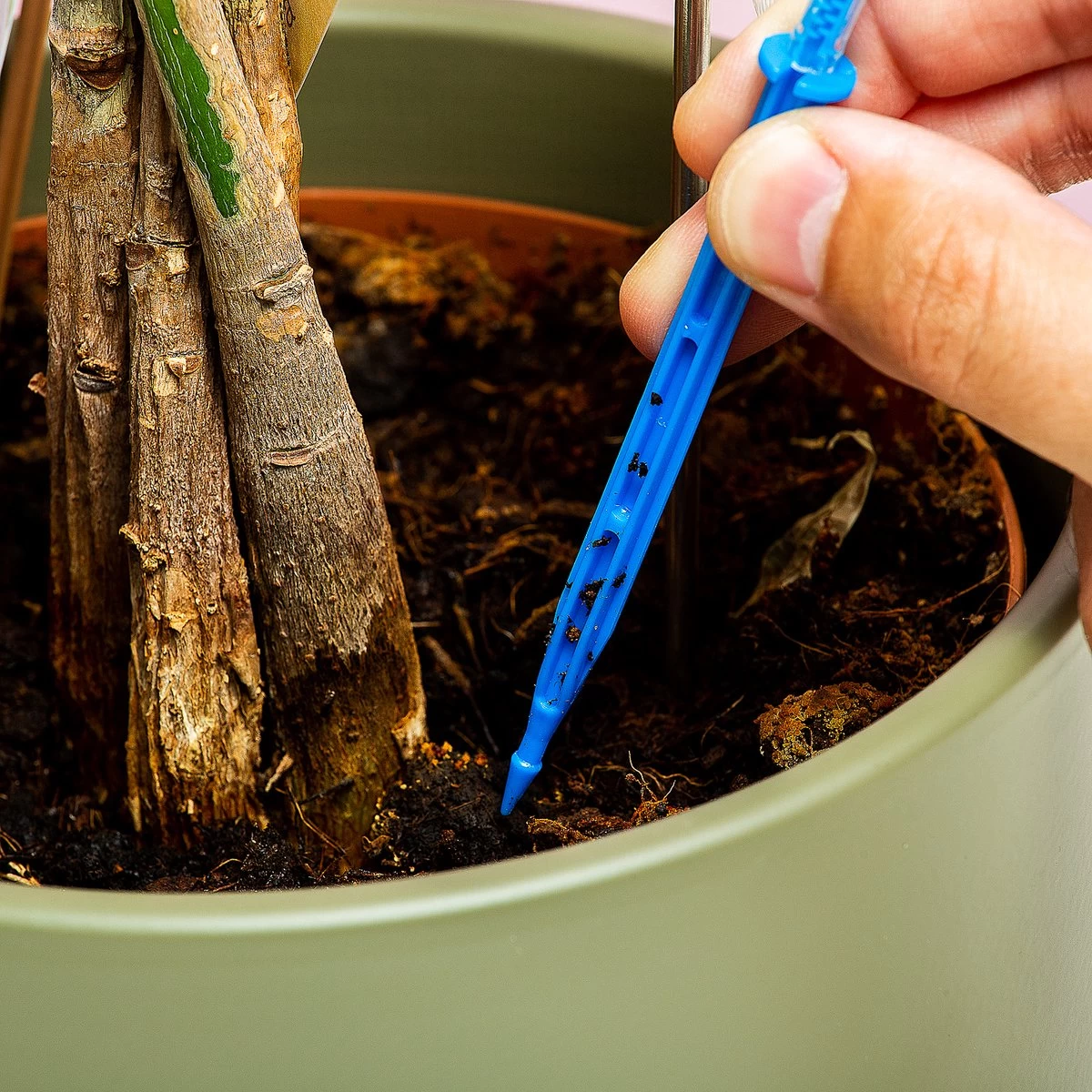 Woonaccessoires- Automatisch Watergeef Systeem | Plantenwaterer - Life Support Irrigatieapparaat | Druppelaar Kamerplanten - | Planten Watergever Met Druppelsysteem 350ml 7 Woonaccessoires- Automatisch Watergeef Systeem | Plantenwaterer - Life Support Irrigatieapparaat | Druppelaar Kamerplanten - | Planten Watergever Met Druppelsysteem 350ml - Afbeelding 5