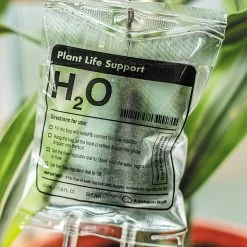 Woonaccessoires- Automatisch Watergeef Systeem | Plantenwaterer - Life Support Irrigatieapparaat | Druppelaar Kamerplanten - | Planten Watergever Met Druppelsysteem 350ml 20 Woonaccessoires- Automatisch Watergeef Systeem | Plantenwaterer - Life Support Irrigatieapparaat | Druppelaar Kamerplanten - | Planten Watergever Met Druppelsysteem 350ml -Tuinverzorgings Winkel 1200x1200 1463