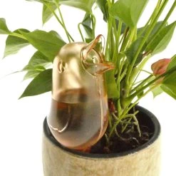 JS Drippy - Waterdruppelaars Set Van 2 Stuks - Druppelaar Vogel - Druppelsysteem Planten - Watergeefsysteem Kamerplanten - Waterbol - Roze -Tuinverzorgings Winkel 1200x1200 1474