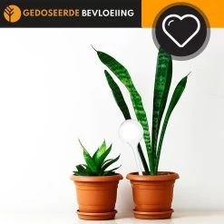 Waterdruppelaar Set Van 6 Stuks Voor Planten Transparant – 27 CM – Automatisch Watergeefsysteem Voor Kamerplanten – Planten Watergever Met Druppelsysteem – Waterbol -Tuinverzorgings Winkel 1200x1200 1481