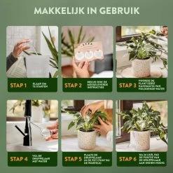 STFF & Co® Waterdruppelaar Voor Planten – Irrigatiesysteem Automatisch Watergeefsysteem – Waterbollen Voor Planten – Bewateringssysteem – 8 Stuks - 5cm -Tuinverzorgings Winkel 1200x1200 1505