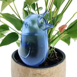 JS Drippy - Waterdruppelaars Set Van 2 Stuks - Druppelaar Vogel - Druppelsysteem Planten - Watergeefsysteem Kamerplanten - Waterbol - Blauw -Tuinverzorgings Winkel 1200x1200 1513