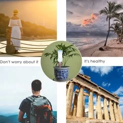 BOTC Waterdruppelaar Set Van 6 Stuks Voor Planten - Watergeefsysteem 18 BOTC Waterdruppelaar Set Van 6 Stuks Voor Planten - Watergeefsysteem -Tuinverzorgings Winkel 1200x1200 1524