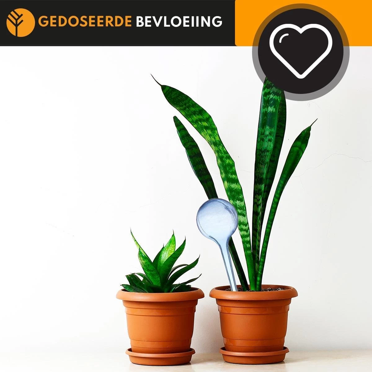 Waterdruppelaar Blauw Set Van 6 Stuks Voor Planten – 27 CM – Automatisch Watergeefsysteem Voor Kamerplanten – Planten Watergever Met Druppelsysteem – Waterbol 6 Waterdruppelaar Blauw Set Van 6 Stuks Voor Planten – 27 CM – Automatisch Watergeefsysteem Voor Kamerplanten – Planten Watergever Met Druppelsysteem – Waterbol - Afbeelding 4