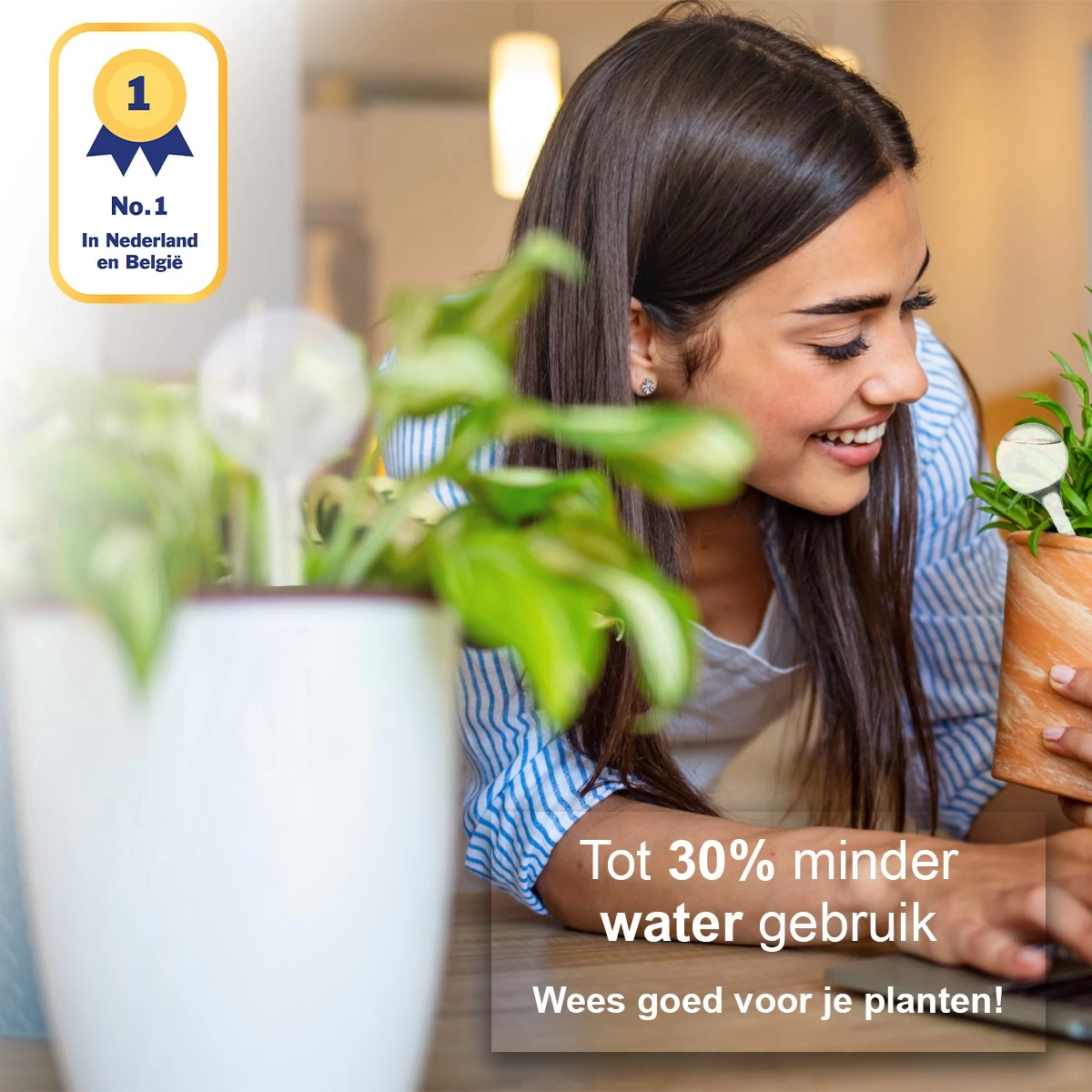 Waterdruppelaar Set Van 6 Stuks - Waterdruppelaar Voor Planten - Watergeefsysteem - Waterbol Irrigatiesysteem - Automatisch Druppelsysteem Voor Kamerplanten & Tuin - Watergever - Doorzichtig - 15cm 4 Waterdruppelaar Set Van 6 Stuks - Waterdruppelaar Voor Planten - Watergeefsysteem - Waterbol Irrigatiesysteem - Automatisch Druppelsysteem Voor Kamerplanten & Tuin - Watergever - Doorzichtig - 15cm - Afbeelding 2