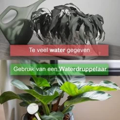 Waterdruppelaar Set Van 6 Stuks - Waterdruppelaar Voor Planten - Watergeefsysteem - Waterbol Irrigatiesysteem - Automatisch Druppelsysteem Voor Kamerplanten & Tuin - Watergever - Doorzichtig - 15cm 15 Waterdruppelaar Set Van 6 Stuks - Waterdruppelaar Voor Planten - Watergeefsysteem - Waterbol Irrigatiesysteem - Automatisch Druppelsysteem Voor Kamerplanten & Tuin - Watergever - Doorzichtig - 15cm -Tuinverzorgings Winkel 1200x1200 1560