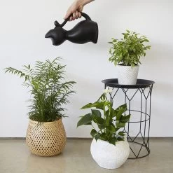 Balvi Meow! Kat Gieter - Zwart -Tuinverzorgings Winkel 1200x1200 1676