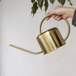 Kikkerland Vintage Gieter - Plantengieter Voor Binnen - Goud - 1,2L - Retro - Metaal 11 Kikkerland Vintage Gieter - Plantengieter Voor Binnen - Goud - 1,2L - Retro - Metaal -Tuinverzorgings Winkel 1200x1200 1685