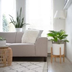 LifeGoods Planten Standaard - Uitschuifbare Bloempothouder - 20 Tot 30 Cm - Licht Bamboe -Tuinverzorgings Winkel 1200x1200 1737