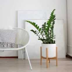 LifeGoods Planten Standaard - Uitschuifbare Bloempothouder - 20 Tot 30 Cm - Licht Bamboe -Tuinverzorgings Winkel 1200x1200 1738