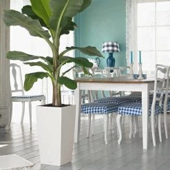 Prosperplast Kunststof Urbi Bloempot/plantenpot Met Binnenpot Wit 32 X 32 X 61 Cm - 21/49 Liter - Hoge Vierkante Bloempotten -Tuinverzorgings Winkel 1200x1200 1768