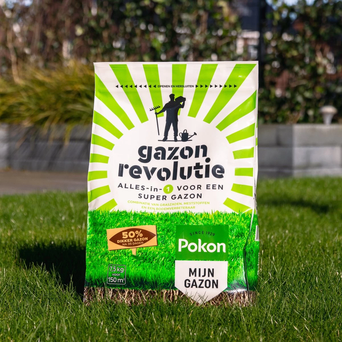 Pokon Gazon Revolutie - 7,5kg - Gazonmest / Graszaad / Bodemverbeteraar - Geschikt Voor 150m² - Binnen 15 Dagen Resultaat 4 Pokon Gazon Revolutie - 7,5kg - Gazonmest / Graszaad / Bodemverbeteraar - Geschikt Voor 150m² - Binnen 15 Dagen Resultaat - Afbeelding 3