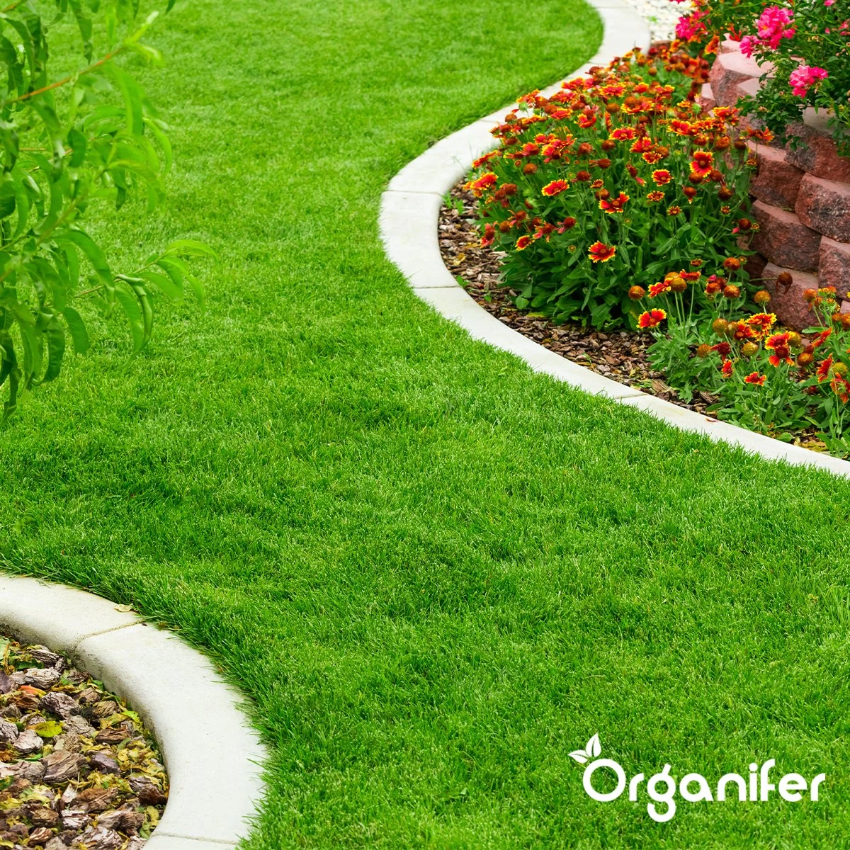 IJzersulfaat Meststof – Mos Verwijderaar – 5kg -Voor 250m2 (organifer) 7 IJzersulfaat Meststof – Mos Verwijderaar – 5kg -Voor 250m2 (organifer) - Afbeelding 5