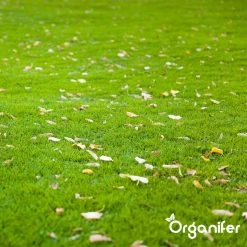 IJzersulfaat Meststof – Mos Verwijderaar – 5kg -Voor 250m2 (organifer) 19 IJzersulfaat Meststof – Mos Verwijderaar – 5kg -Voor 250m2 (organifer) -Tuinverzorgings Winkel 1200x1200 1791