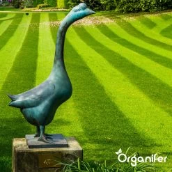 IJzersulfaat Meststof – Mos Verwijderaar – 5kg -Voor 250m2 (organifer) 21 IJzersulfaat Meststof – Mos Verwijderaar – 5kg -Voor 250m2 (organifer) -Tuinverzorgings Winkel 1200x1200 1793