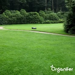 IJzersulfaat Meststof – Mos Verwijderaar – 5kg -Voor 250m2 (organifer) 23 IJzersulfaat Meststof – Mos Verwijderaar – 5kg -Voor 250m2 (organifer) -Tuinverzorgings Winkel 1200x1200 1795