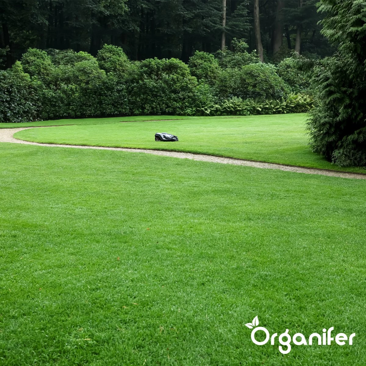 IJzersulfaat Meststof – Mos Verwijderaar – 5kg -Voor 250m2 (organifer) 12 IJzersulfaat Meststof – Mos Verwijderaar – 5kg -Voor 250m2 (organifer) - Afbeelding 10