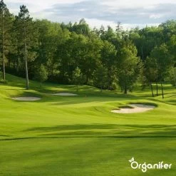 Kalk Korrel Meststof Verrijkt Met Magnesium (5Kg - Voor 100m2) Voor Dieper Bladgroen (+PH) Speciaal Voor Gazon, Perken, Moestuin En Openbaar Groen - Organifer -Tuinverzorgings Winkel 1200x1200 1809