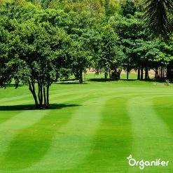 Kalk Korrel Meststof Verrijkt Met Magnesium (5Kg - Voor 100m2) Voor Dieper Bladgroen (+PH) Speciaal Voor Gazon, Perken, Moestuin En Openbaar Groen - Organifer -Tuinverzorgings Winkel 1200x1200 1813