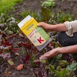 ECOStyle Vinassekali Organische Meststof - Vuor Kaliumtekort - Voor Moestuin, Siertuin En Fruit - Hoger Weerstand Tegen Droogte & Vorst - 15M² - 800 GR 15 ECOStyle Vinassekali Organische Meststof - Vuor Kaliumtekort - Voor Moestuin, Siertuin En Fruit - Hoger Weerstand Tegen Droogte & Vorst - 15M² - 800 GR -Tuinverzorgings Winkel 1200x1200 1826