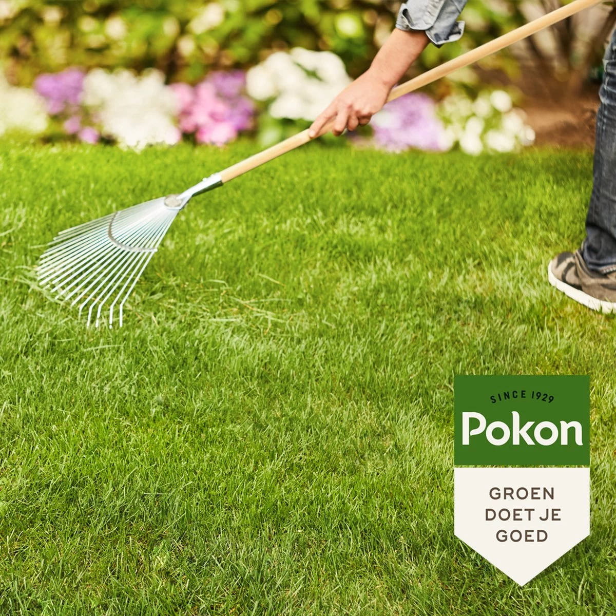 Pokon Gazonmest Met Kalk - 2 X 5kg - Mest - Geschikt Voor 2 X 75m² - 120 Dagen Voeding - Voordeelverpakking 5 Pokon Gazonmest Met Kalk - 2 X 5kg - Mest - Geschikt Voor 2 X 75m² - 120 Dagen Voeding - Voordeelverpakking - Afbeelding 3
