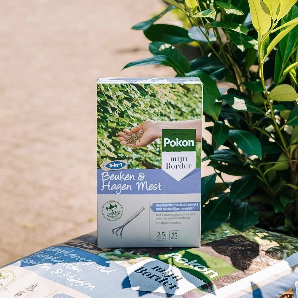 Pokon Beuken & Hagen Mest - 2,5kg - Meststof - 3-in-1 Werking 7 Pokon Beuken & Hagen Mest - 2,5kg - Meststof - 3-in-1 Werking - Afbeelding 5