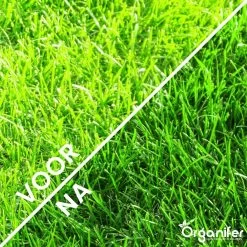 Gazonmest All-In-One (20Kg - Voor 400m2) Voor Een Diepgroen Sterk Gazon Zonder Mos En Onkruid - Complete Meststof Met Kalk En Grasversterker - Organifer -Tuinverzorgings Winkel 1200x1200 1853