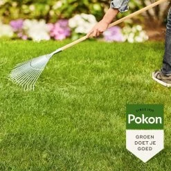 Pokon Gazonmest Met Kalk - 2kg - Mest - Geschikt Voor 30m² - 120 Dagen Voeding 14 Pokon Gazonmest Met Kalk - 2kg - Mest - Geschikt Voor 30m² - 120 Dagen Voeding -Tuinverzorgings Winkel 1200x1200 1878
