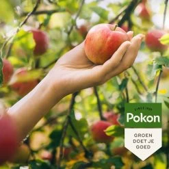 Pokon Bio Fruitbomen Mest - 1kg - Meststof (biologisch) - 120 Dagen Voeding 11 Pokon Bio Fruitbomen Mest - 1kg - Meststof (biologisch) - 120 Dagen Voeding -Tuinverzorgings Winkel 1200x1200 1893