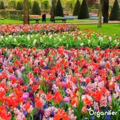 Lavameel Uit Eifel Oergesteente (20Kg Voor 200m2) Organifer 21 Lavameel Uit Eifel Oergesteente (20Kg Voor 200m2) Organifer -Tuinverzorgings Winkel 1200x1200 1900