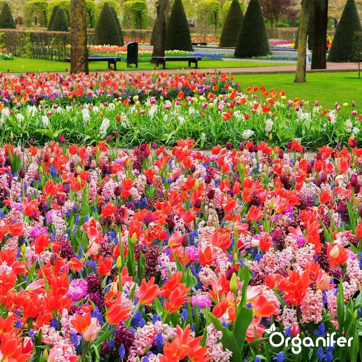 Lavameel Uit Eifel Oergesteente (20Kg Voor 200m2) Organifer 10 Lavameel Uit Eifel Oergesteente (20Kg Voor 200m2) Organifer - Afbeelding 8